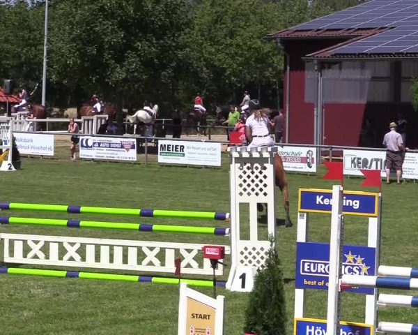 Reitturnier Delbrück-Ostenland 2018