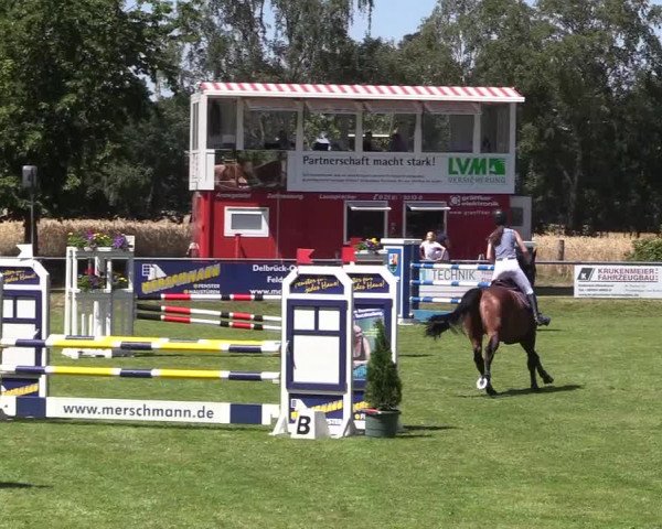 Reitturnier Delbrück-Ostenland 2018