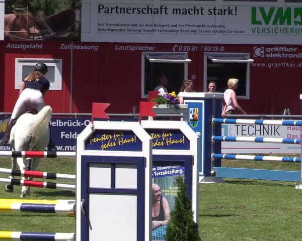 Reitturnier Delbrück-Ostenland 2018