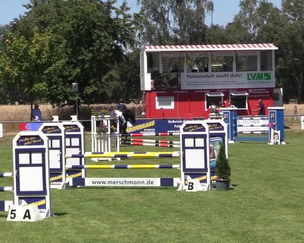 Reitturnier Delbrück-Ostenland 2018
