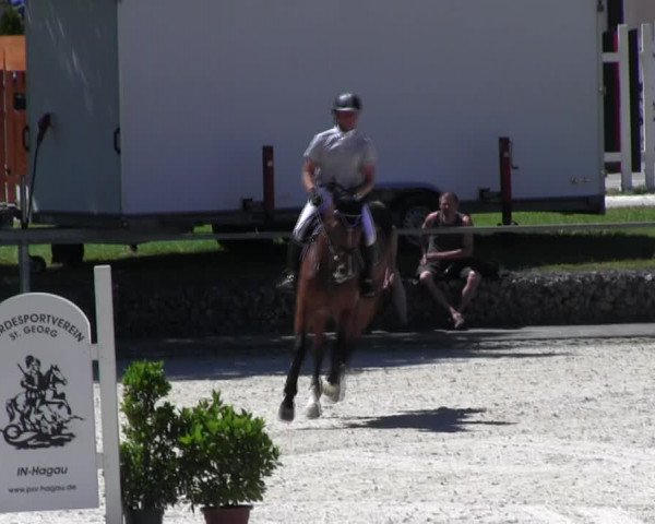 Reitturnier Ingolstadt-Hagau KPVI-Meisterschaft 2018