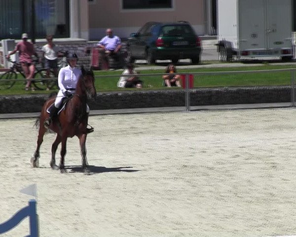 Reitturnier Ingolstadt-Hagau KPVI-Meisterschaft 2018