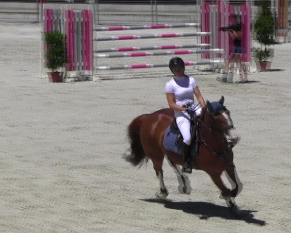 Reitturnier Ingolstadt-Hagau KPVI-Meisterschaft 2018