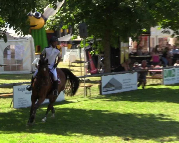 Reitturnier Delbrück-Ostenland 2018