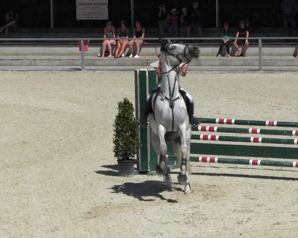 Reitturnier Ingolstadt-Hagau KPVI-Meisterschaft 2018