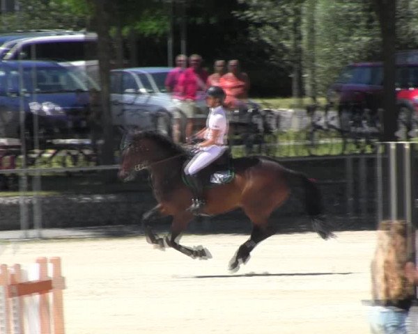 Reitturnier Ingolstadt-Hagau KPVI-Meisterschaft 2018