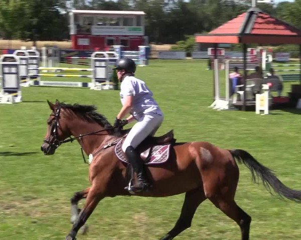 Reitturnier Delbrück-Ostenland 2018
