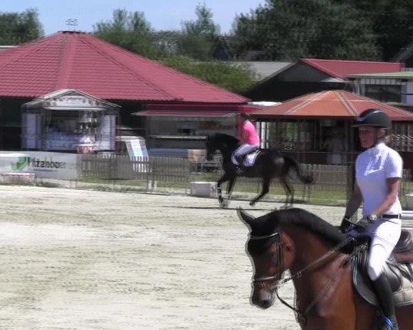 Reitturnier Schülp / Rendsburg 2018