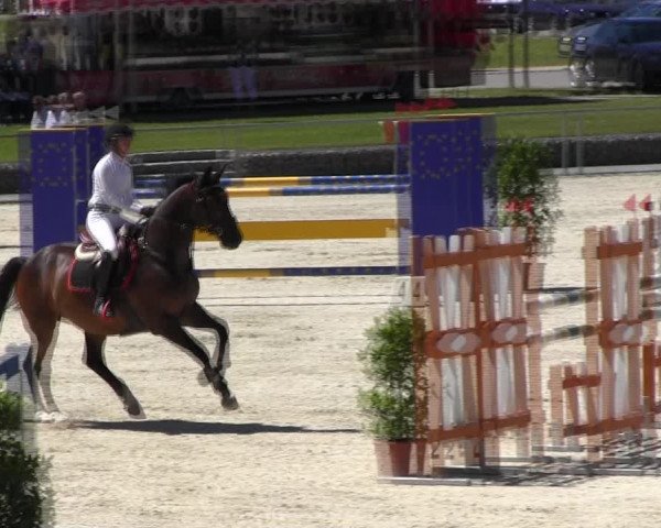 Reitturnier Ingolstadt-Hagau KPVI-Meisterschaft 2018