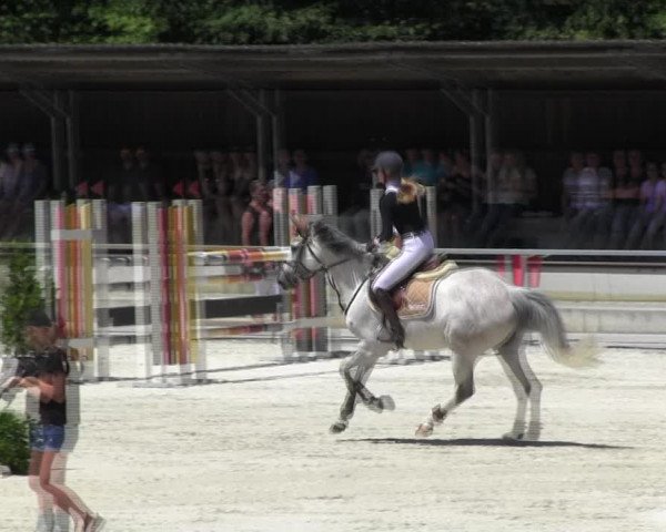 Reitturnier Ingolstadt-Hagau KPVI-Meisterschaft 2018