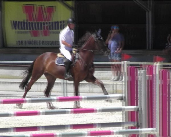 Reitturnier Ingolstadt-Hagau KPVI-Meisterschaft 2018