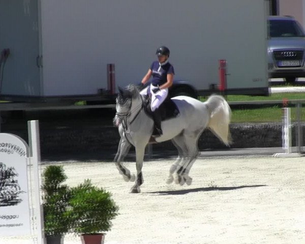 Reitturnier Ingolstadt-Hagau KPVI-Meisterschaft 2018