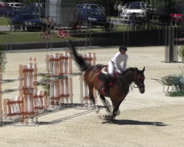 Reitturnier Ingolstadt-Hagau KPVI-Meisterschaft 2018