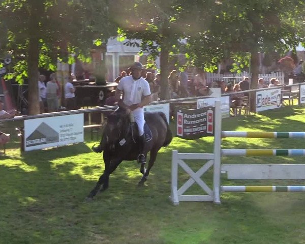 Reitturnier Delbrück-Ostenland 2018