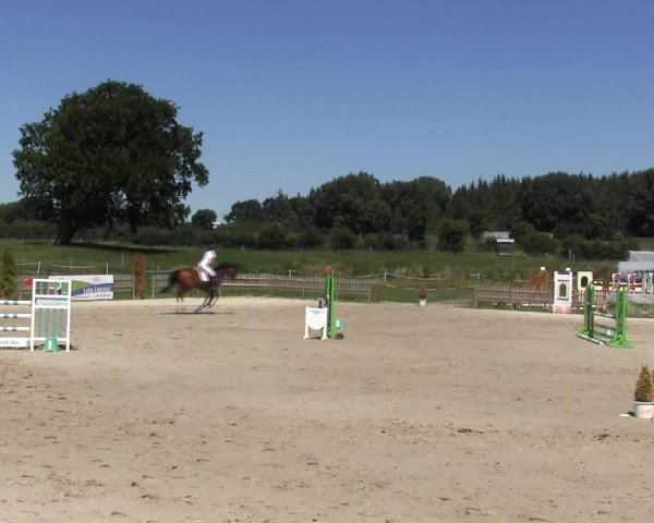 Reitturnier Schülp / Rendsburg 2018