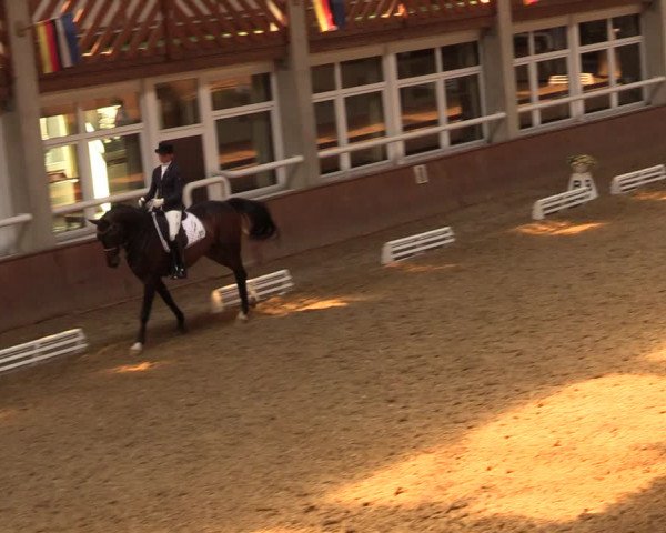 Reitturnier Delbrück-Ostenland 2018