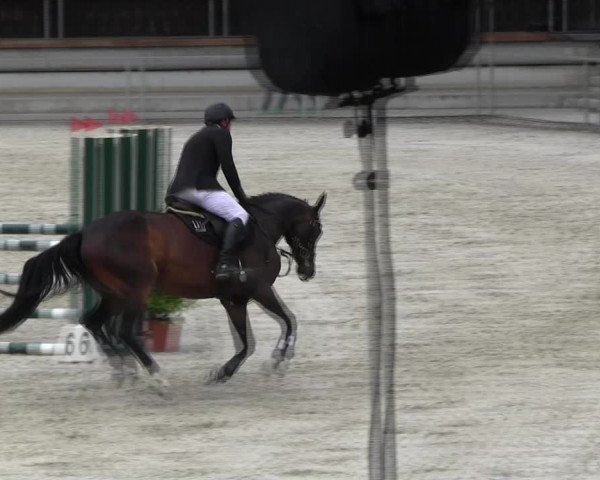 Reitturnier Ingolstadt-Hagau KPVI-Meisterschaft 2018