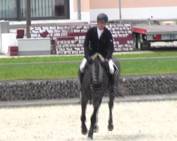 Reitturnier Ingolstadt-Hagau KPVI-Meisterschaft 2018