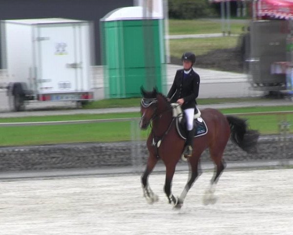 Reitturnier Ingolstadt-Hagau KPVI-Meisterschaft 2018