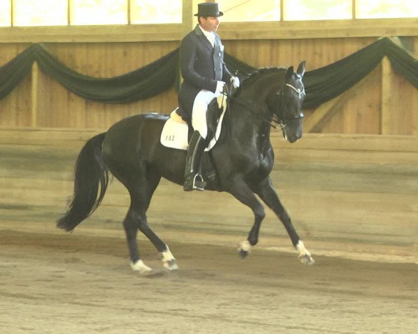 Reitturnier Pellheim-Gerblhof 2018