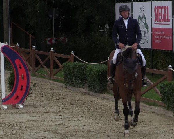 Equus Colonius - Reitanlage Brüse Köln 2021