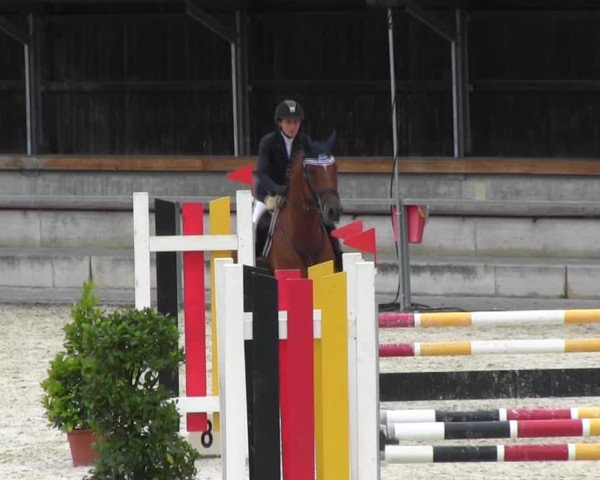 Reitturnier Ingolstadt-Hagau KPVI-Meisterschaft 2018