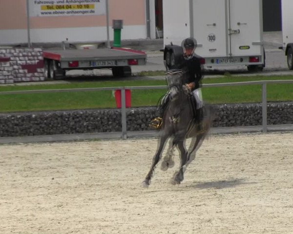 Reitturnier Ingolstadt-Hagau KPVI-Meisterschaft 2018
