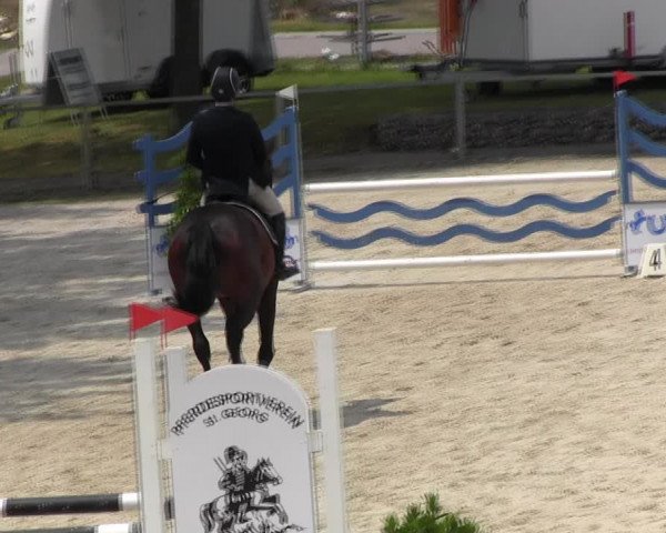 Reitturnier Ingolstadt-Hagau KPVI-Meisterschaft 2018