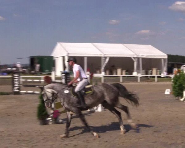 Reitturnier Melle-Ostenfelde 2018