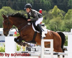 Zuchtstute So Special 4 (Hannoveraner, 2006, von St Almund HB II)