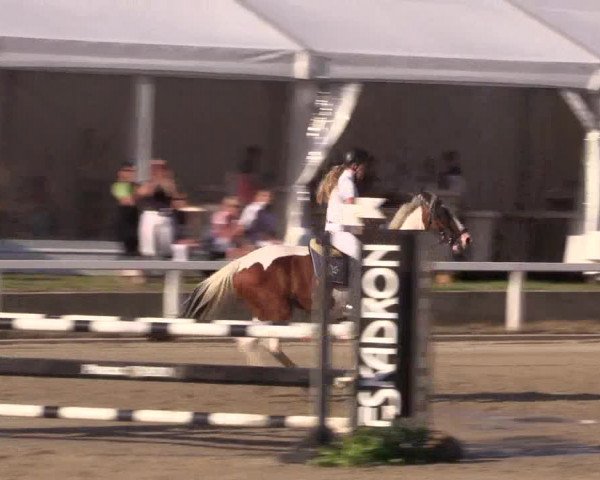 Reitturnier Melle-Ostenfelde 2018