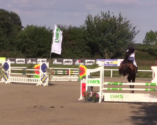 Reitturnier Melle-Ostenfelde 2018