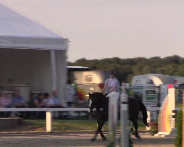 Reitturnier Melle-Ostenfelde 2018