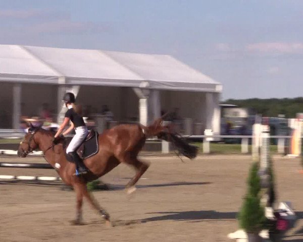 Reitturnier Melle-Ostenfelde 2018