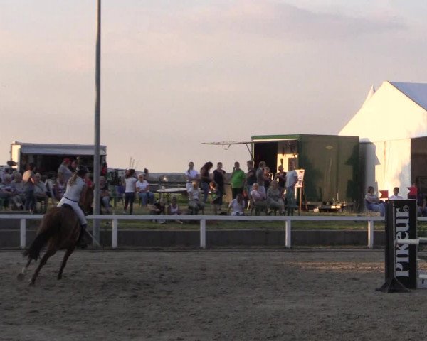 Reitturnier Melle-Ostenfelde 2018