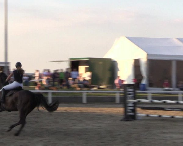 Reitturnier Melle-Ostenfelde 2018