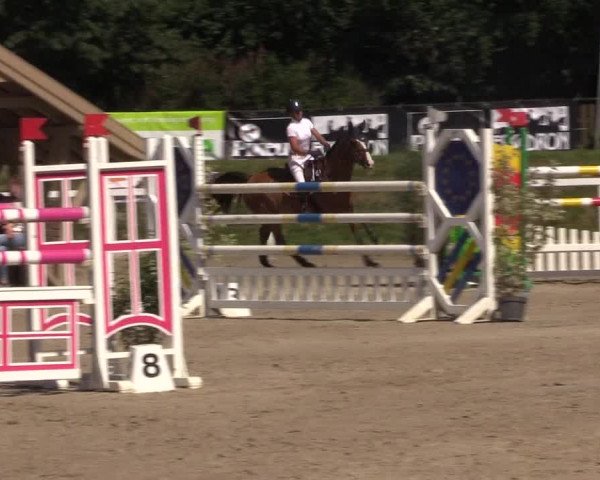 Reitturnier Melle-Ostenfelde 2018