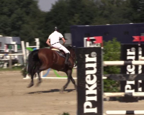 Reitturnier Melle-Ostenfelde 2018