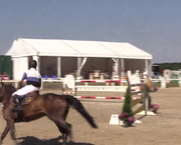 Reitturnier Melle-Ostenfelde 2018