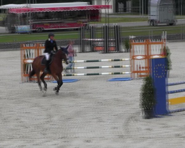 Reitturnier Ingolstadt-Hagau KPVI-Meisterschaft 2018
