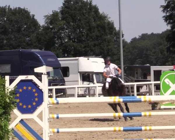 Reitturnier Melle-Ostenfelde 2018