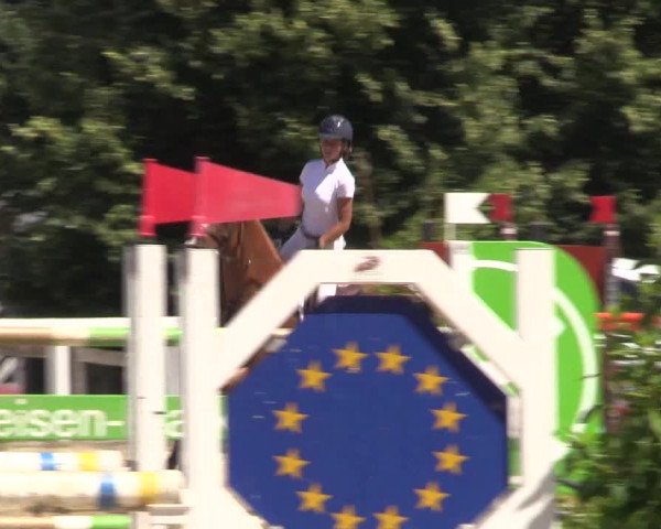 Reitturnier Melle-Ostenfelde 2018
