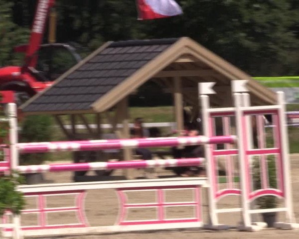 Reitturnier Melle-Ostenfelde 2018
