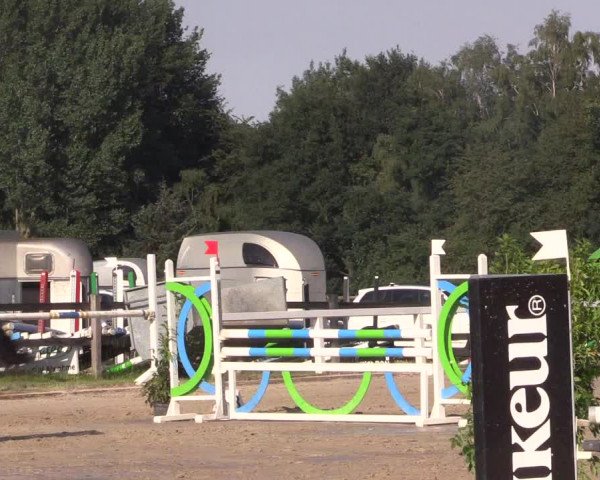 Reitturnier Melle-Ostenfelde 2018