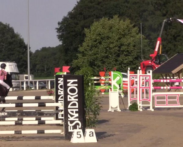 Reitturnier Melle-Ostenfelde 2018