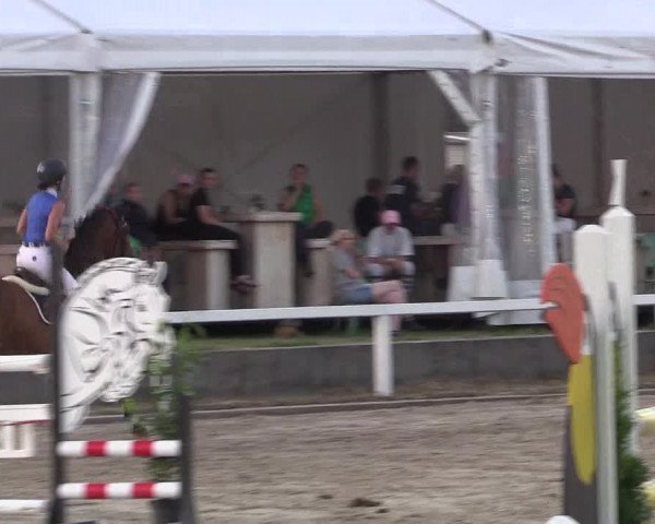 Reitturnier Melle-Ostenfelde 2018