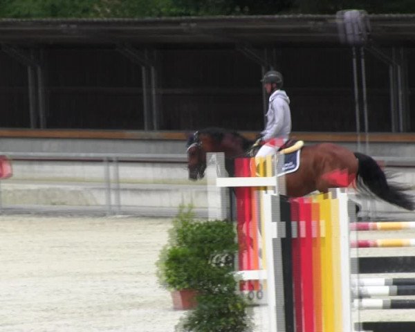 Reitturnier Ingolstadt-Hagau KPVI-Meisterschaft 2018