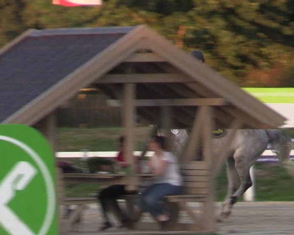 Reitturnier Melle-Ostenfelde 2018