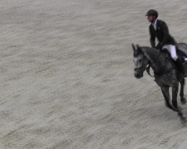 Reitturnier Ingolstadt-Hagau KPVI-Meisterschaft 2018