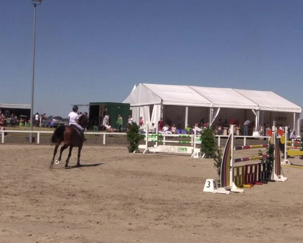 Reitturnier Melle-Ostenfelde 2018
